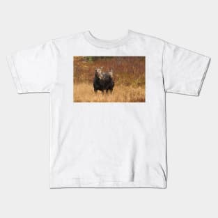 Moose - Algonquin Park, Canada Kids T-Shirt